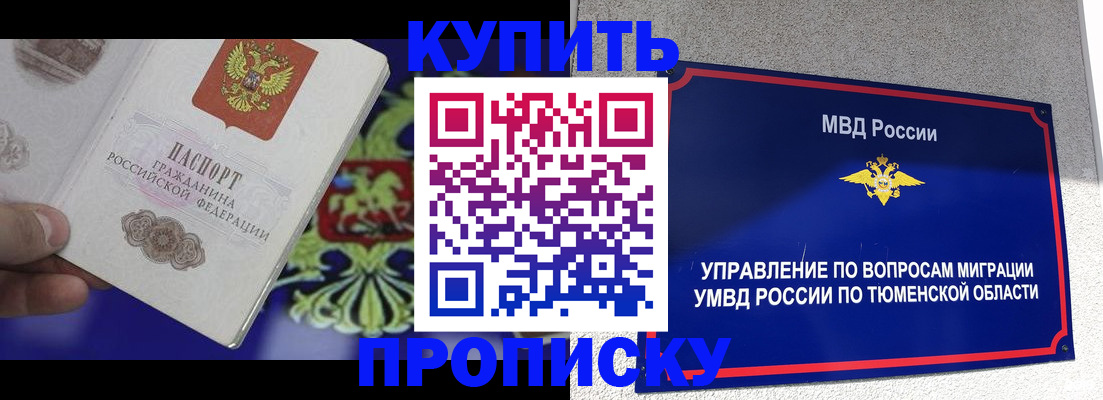 прописка 2025 в Елизово